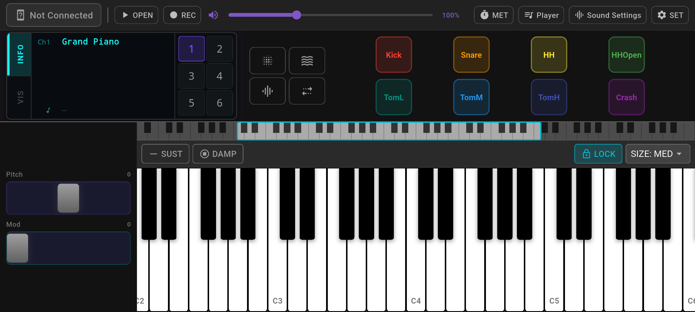 SynthBridge main screen landscape